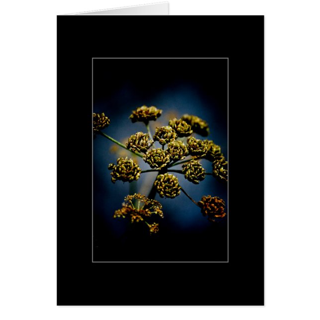 香料入り花 (正面)