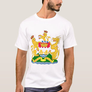 香港の中国 Tシャツ