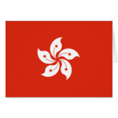 香港の旗 (正面横)