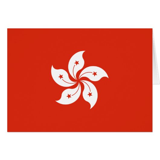 香港の旗 (正面横)