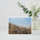 香港ランドスケープ葉書 ポストカード (スタンド正面)