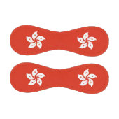 香港国旗を持つ愛国野球 野球ボール (パネル)