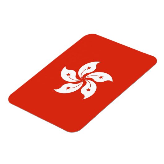 香港国旗を掲げた愛国的なフレキシブル磁石 マグネット (左側)