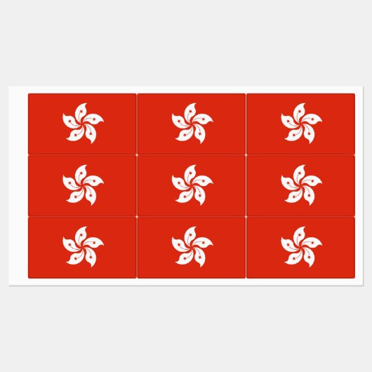 香港国旗を掲げた愛国的なラベル ラベル (シート)