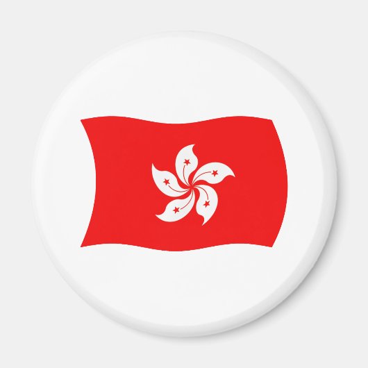 香港旗マグネット マグネット (正面)