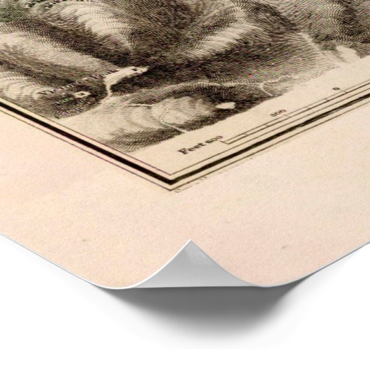 香港旧港の地図(1912) ポスター (角)