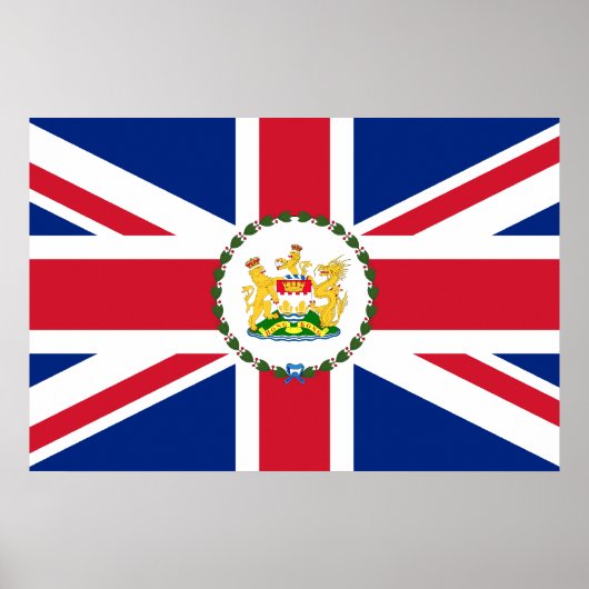 香港知事中国国旗 ポスター (正面)