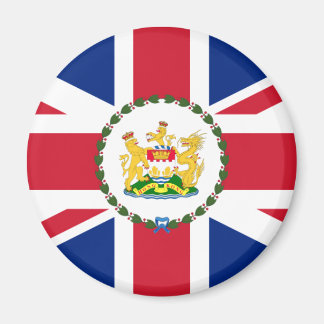 香港知事中国国旗 マグネット