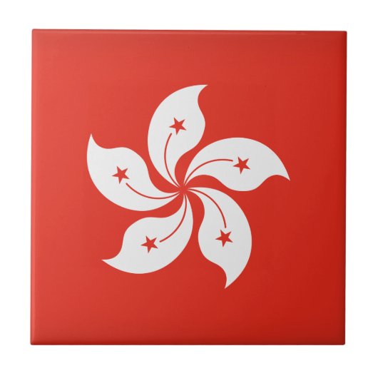 香港 タイル (正面)