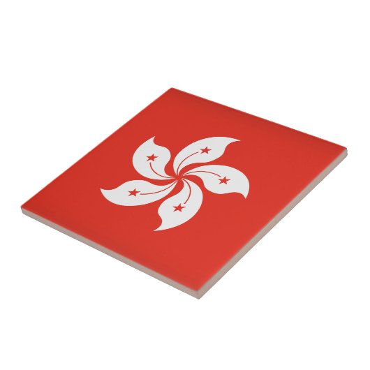 香港 タイル (側面)