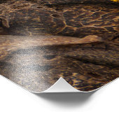 香辛料と食材のコラージュ フォトプリント            (角)