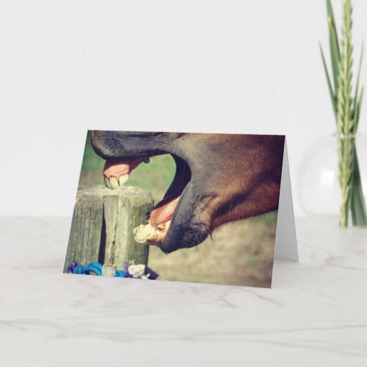 馬あくびをする カード (正面)