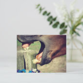 馬あくびをする ポストカード (スタンド正面)