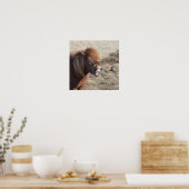 馬おもしろいが顔間抜け ポスター (キッチン)