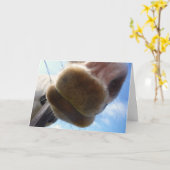 馬おもしろいグリーティングカード カード (黄色い花)