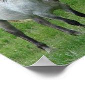 馬おもしろいポスター ポスター (角)