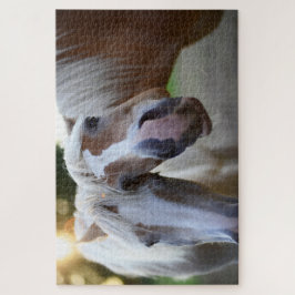 馬おもしろい友 ジグソーパズル