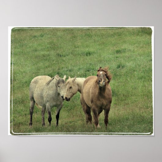 馬おもしろい類 ポスター (正面)