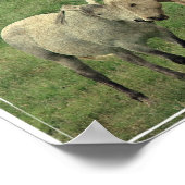 馬おもしろい類 ポスター (角)