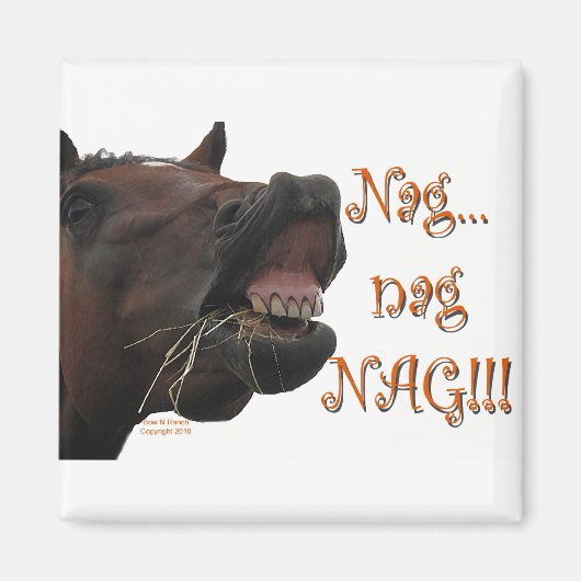 馬おもしろい馬: Nag, nag, nag マグネット (正面)