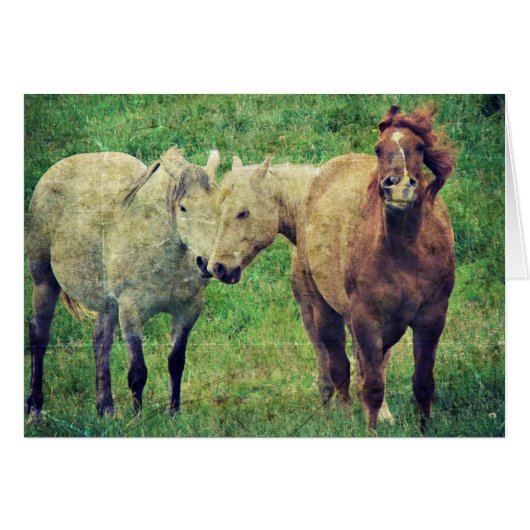 馬おもしろい (正面横)