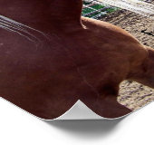 馬おもしろい「みんな悪いマネ日」のポスター ポスター (角)