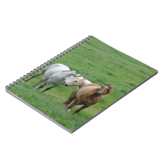 馬おもしろい ノートブック (左側)