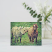 馬おもしろい ポストカード (スタンド正面)