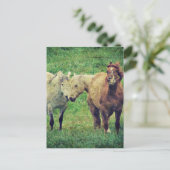 馬おもしろい ポストカード (スタンド正面)