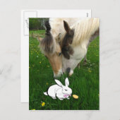 馬およびイースターのウサギ シーズンポストカード (正面/裏面)