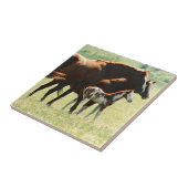 馬および子馬の写真 タイル (側面)