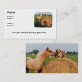 馬および犬の会合の名刺 名刺 (正面/裏面)