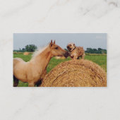 馬および犬の会合の名刺 名刺 (裏面)