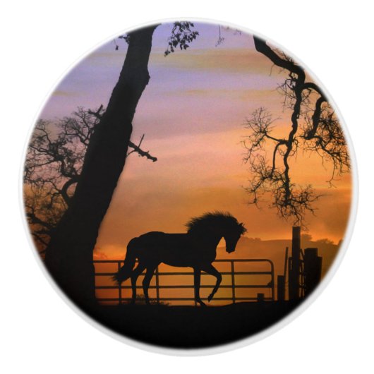 馬お洒落の爪 セラミックノブ (正面)