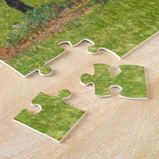 馬かわいらしがテキサス州牧草地で放牧平和的 ジグソーパズル (側面)