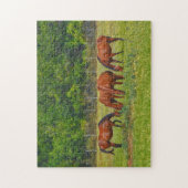 馬かわいらしがテキサス州牧草地で放牧平和的 ジグソーパズル (縦)