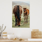 馬かわいらしの写真 ポスター (キッチン)