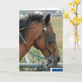 馬かわいらし カード (黄色い花)