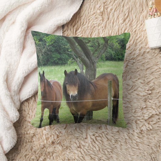 馬かわいらし クッション (ブランケット)