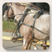 馬かわいらし コースター (正面)