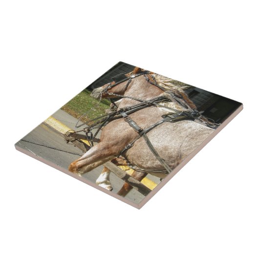 馬かわいらし タイル (側面)