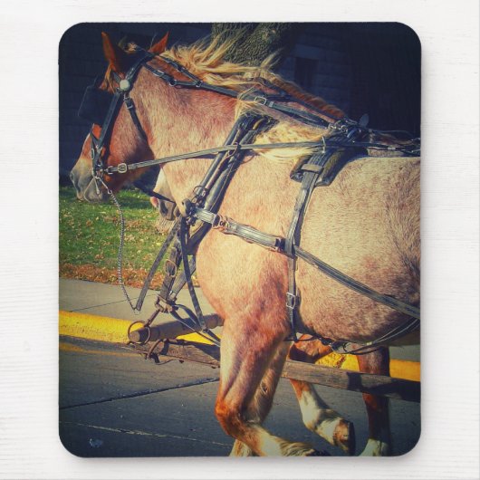 馬かわいらし マウスパッド (正面)