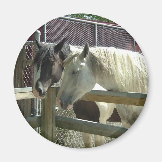 馬かわいらし マグネット (正面)