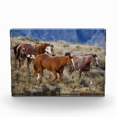 馬が丘を徘徊 フォトブロック (正面)