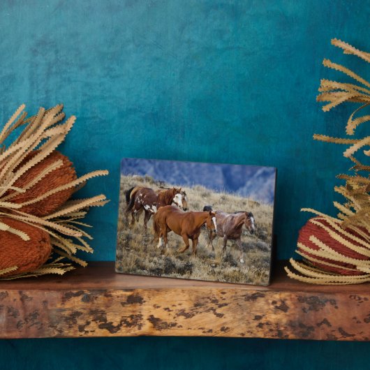 馬が丘を徘徊 フォトプラーク (側面)