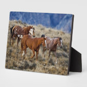 馬が丘を徘徊 フォトプラーク (側面)