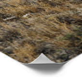 馬が丘を徘徊 ポスター (角)