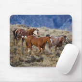 馬が丘を徘徊 マウスパッド (マウス)