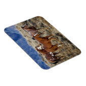 馬が丘を徘徊 マグネット (右側)