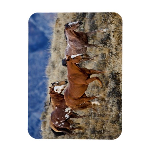 馬が丘を徘徊 マグネット (縦)